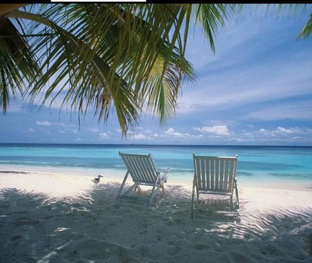Nothing like the white sands of Anna Maria Island to enjoy a true island getaway. Anna Maria has been featured in many p