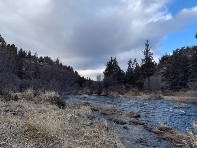 Walking trails along the Deschutes River. Plenty of fishing and exploring to be done