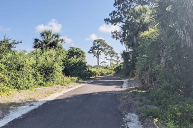 Walking and biking trails at Shamrock Park and Preserve. Great way to see Florida flora and fauna. Use the 2 bikes we pr