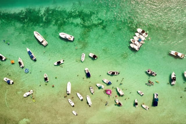 Rent a boat and visit the many sandbars around for a unique experience in the Bay