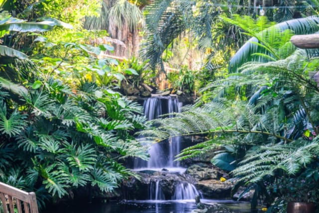 Selby Gardens in Downtown Sarasota are a must see