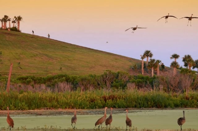 Take in a sunset at the highest elevation in Sarasota- Celery Hills, a light hike to the top provide views in all direct